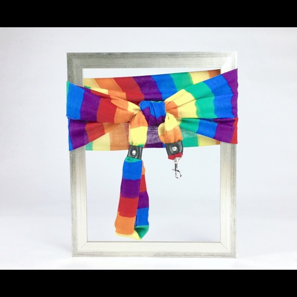 Rainbow Small Dog Scarf Leash - Picture 2 of 5